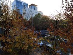 Calea Floreasca, Eliade
