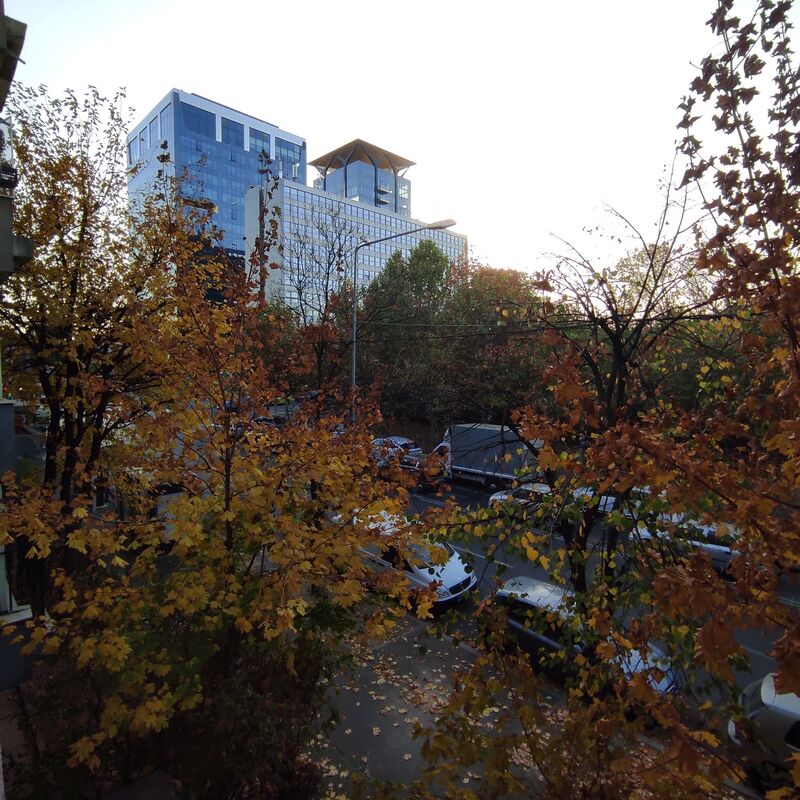 Calea Floreasca, Eliade,